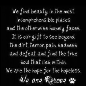 We are rescue.. (lab rescue site)
