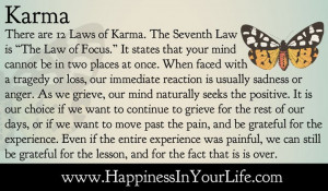 there are 12 laws of karma the seventh law is the law of focus it ...