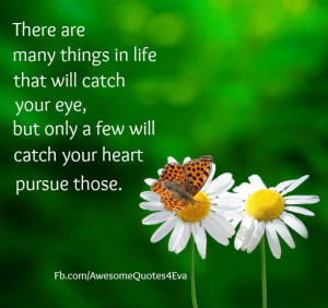 ... catch your eyes, but only a few will catch your heart, pursue those
