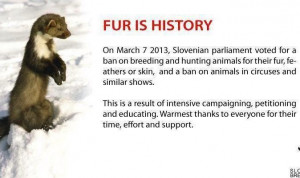 Uploaded to Pinterest