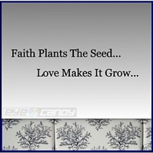 Faith Plants The Seed..Wall Words Sticker Decal Quotes
