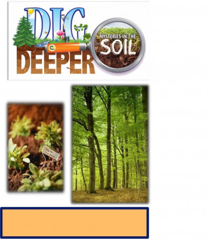 soil and water conservation posters