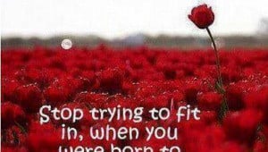 Stop trying to fit in, when you were born to stand out...