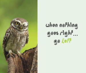 When nothing goes right... go left. Owlsome Moments ~ 