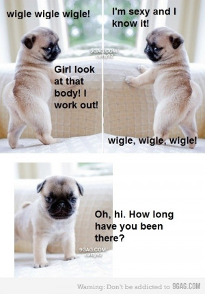 Pugs pug wiggle