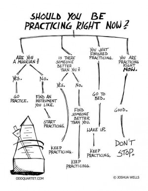 Should you be practicing right now? #musichumor #practicing
