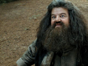 Image - Hagrid.jpg - Harry Potter Wiki