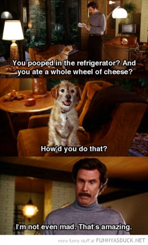anchorman dog ron burgandy film movie scene baxter pooped refrigerator ...