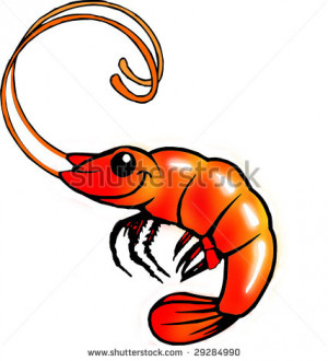 spread the boiling shrimp clipart cute shrimp in aggressive an