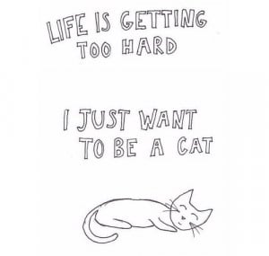Cat Quotes Tumblr