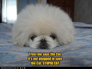 funny quotes funny dogs quotes funny quotes about dogs cats are ...