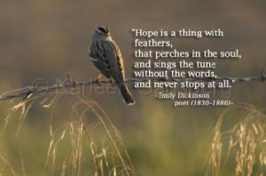 hope quote Images and Graphics