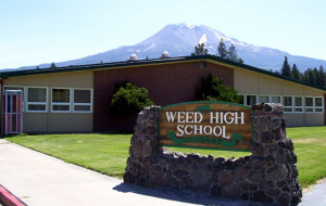 weed ca detailed profile weed ca houses data california forum