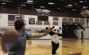 sick of your panda shit, Randy.