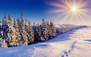 Related Pictures winter wallpaper desktop themes and screensavers ...