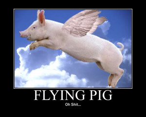 Flying Pig Picture