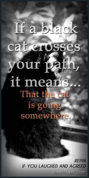 Black Cat Funny Quotes...