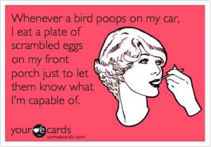 Bird poop