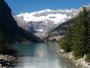 Canada Alberta Banff National Park Lake Louise Flowers Looking