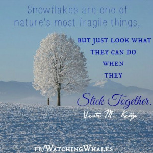 Quotes for Inspriation / snowflakes / stick together ;-)