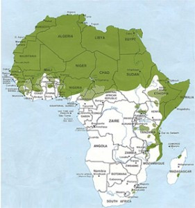 Arabic Quotes With English Translation