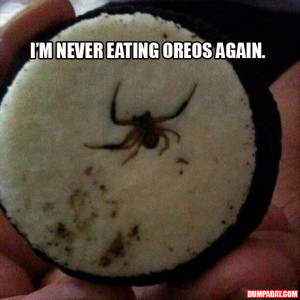 never eat another oreo again