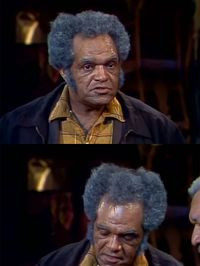Fred G Sanford Quotes
