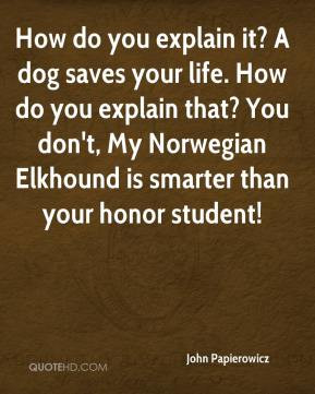 How do you explain it? A dog saves your life. How do you explain that ...