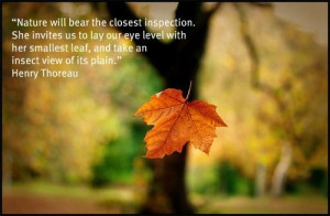 ... us to lay our eye... | Henry David Thoreau Picture Quotes | Quoteswave