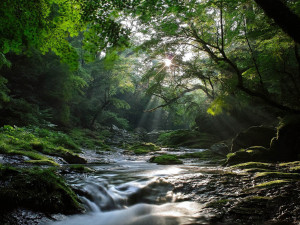 stream wallpapers beautiful stream desktop wallpapers beautiful stream ...