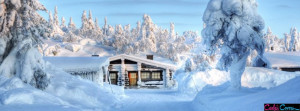 Nature Winter Facebook Covers