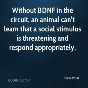 Without BDNF In The Circuit, An Animal Can’t Learn That A Social ...