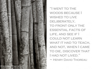 Woods Quote