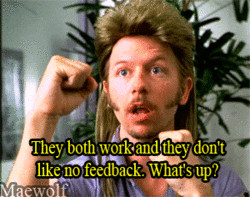 Fun Facts about Joe Dirt Interesting factoids, information and