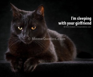 sleeping with your girlfriend! Download Black cat photo.
