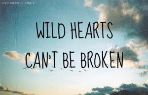 wild hearts can t be broken