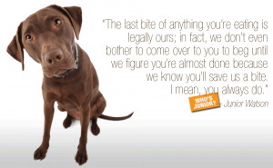 Related Pictures hand with a dog and family finger puppets royalty ...