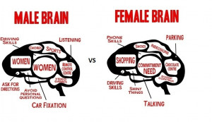 Males Brain VS Female Brain