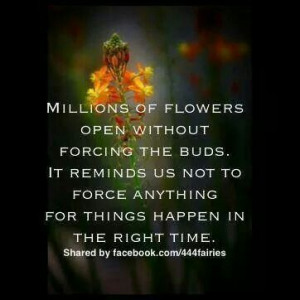 Millions of #flowers open without forcing the #buds. It reminds us not ...