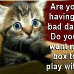 QUOTES - www.playbull.com - Funny Quotes and Life Quotes to share on ...