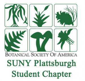 Thanks for Your Support Always