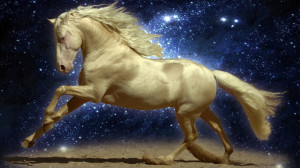 Horses Wallpaper 3D - HD Wallpapers