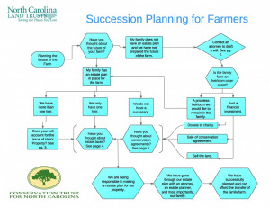 Planning Succession Leadershp Development Picture