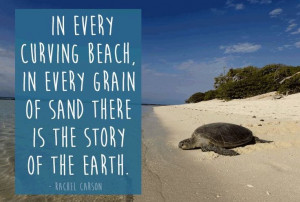 Rachel Carson