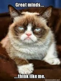 Grumpy Cat: Be Negative