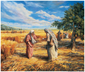 Gleaning From the Scriptures
