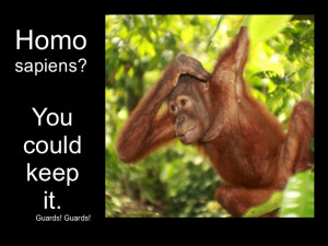 Discworld Meme: Homo sapiens. Quote taken from Guards!Guards! by Terry ...