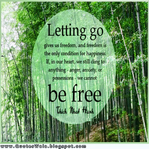 go quotes letting go quotes letting go quotes letting go quotes ...