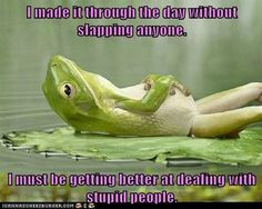 dealing with stupid people | ... anyone. I must be getting better at ...