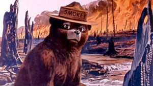 Smokey the Bear taken from a U.S. Agriculture Dept. poster. AP